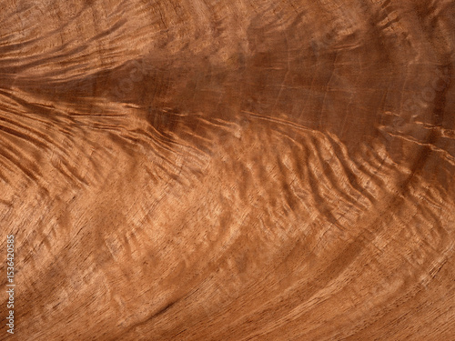 Walnut feather wood texture surface in close up