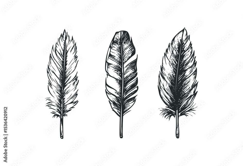 Hand-drawn feather collection: three unique styles in black and white. Vector retro hand drawn illustration