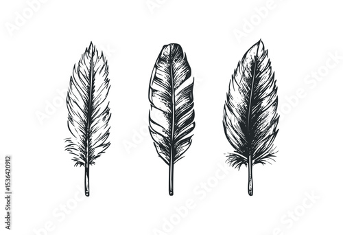 Hand-drawn feather collection: three unique styles in black and white. Vector retro hand drawn illustration