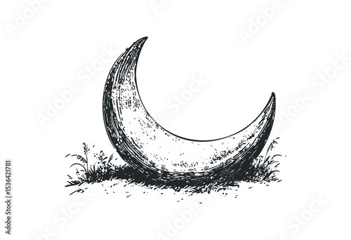 Detailed crescent moon with grass in vintage style. Vector retro hand drawn illustration