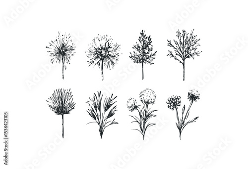 Set of eight ink drawn botanical illustrations featuring various plant and flower styles. Vector retro hand drawn illustration