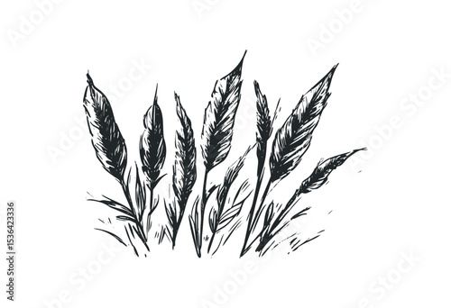 Abstract black and white sketch of stylized feathers. Vector retro hand drawn illustration