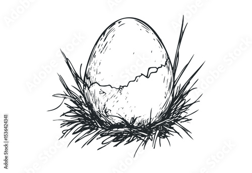 Cracked egg in nest illustration with straw detailing. Vector retro hand drawn illustration