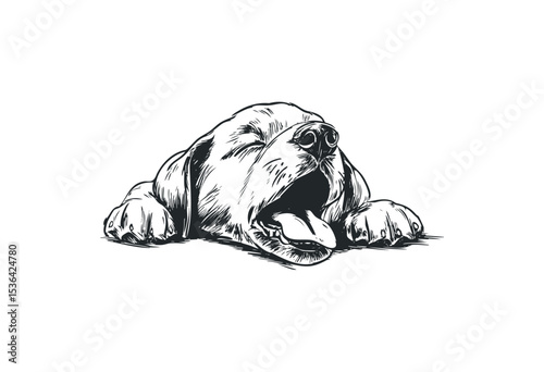 Sketch of a yawning dog resting with outstretched paws. Vector retro hand drawn illustration