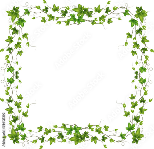 Set of green vine liana or ivy