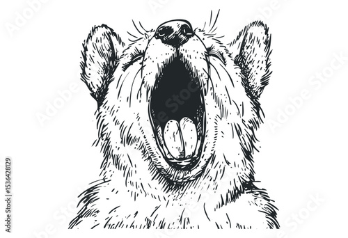Roaring bear sketch with open mouth detail in monochrome style. Vector retro hand drawn illustration