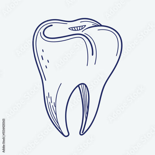Tooth linear flat icon. Adobe Illustrator Artwork