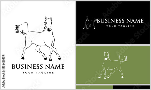 Horse Logo Design Variations. (71)