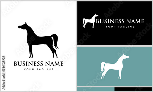 Horse Logo Design Variations. (72)