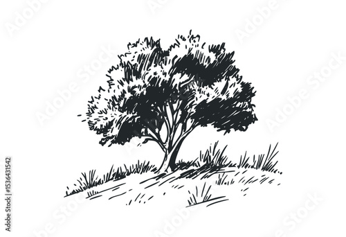 Lone tree sketch with grass on gentle hill. Vector retro hand drawn illustration