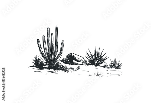 Desert landscape with cactus and rocks in black ink drawing. Vector retro hand drawn illustration