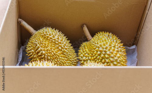 Freshly packed Long Lap Lae durian, a premium local durian variety from Uttaradit, Thailand, delivered straight from orchard to doorstep. Bought online is in package, brown cardboard box.