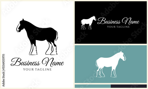 Horse Logo Design Variations. (111)