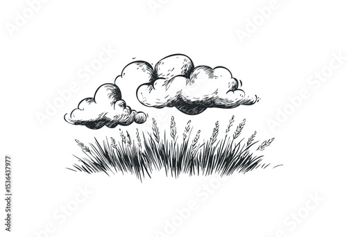 Hand-drawn cloud scene with wheat stalks in black and white. Vector retro hand drawn illustration