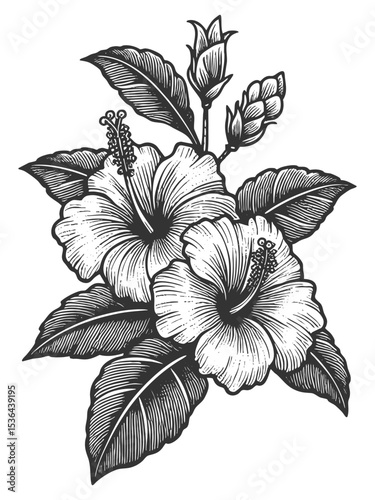 hibiscus flowers and leaves sketch engraving generative ai fictional character vector illustration. Scratch board imitation. Black and white image.