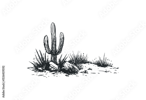 Hand-drawn desert scene with cactus and rocks. Vector retro hand drawn illustration