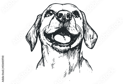 Sketch of a happy dog with tongue out in black and white. Vector retro hand drawn illustration