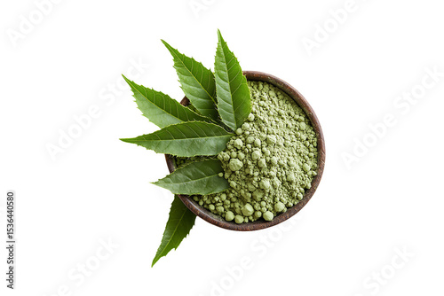 Medicinal neem leaves with extract isolated on transparent background