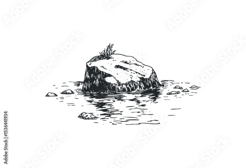 Monochrome illustration of a large rock in water with small plants. Vector retro hand drawn illustration