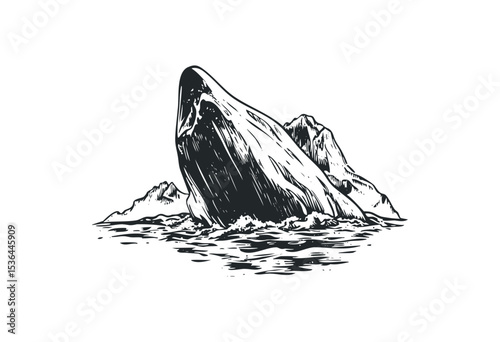 Majestic whale breaching the ocean surface in detailed illustration. Vector retro hand drawn illustration