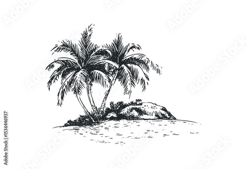 Tropical palm trees and rocks on sandy beach in vintage sketch style. Vector retro hand drawn illustration