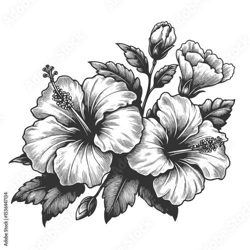 hibiscus flowers and leaves sketch engraving generative ai fictional character vector illustration. Scratch board imitation. Black and white image.