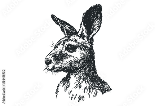 Detailed black and white drawing of a rabbit with intricate fur patterns. Vector retro hand drawn illustration