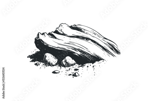 Detailed ink sketch of a driftwood piece with rocks. Vector retro hand drawn illustration