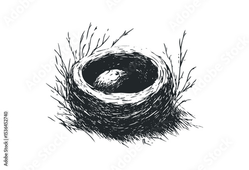 Detailed nest with egg in black and white artistic sketch. Vector retro hand drawn illustration