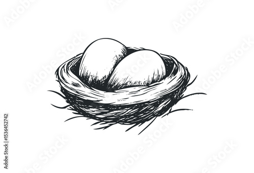Detailed sketch of a nest with two eggs highlighting nature's simplicity. Vector retro hand drawn illustration