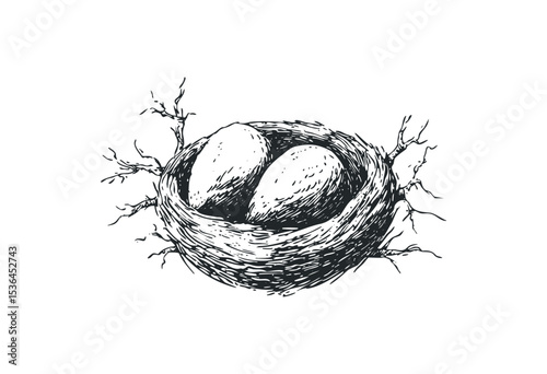 Ink sketch of a bird nest with two eggs and branches in detailed style. Vector retro hand drawn illustration