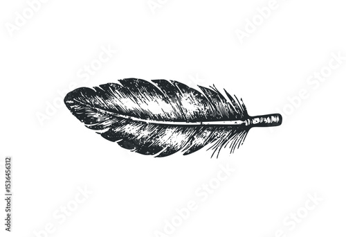 Vintage feather sketch with intricate detailing. Vector retro hand drawn illustration