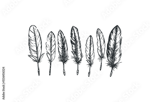 Set of seven hand-drawn feather illustrations in black and white. Vector retro hand drawn illustration