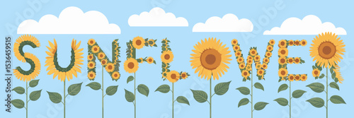 Sunflower text formed by sunflowers with yellow petals and blue sky background