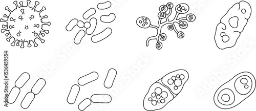 Microbial organisms, viruses, bacteria, fungi, and parasites illustrated in a simple line art, scientific biological research, isolated on white background flat vector illustration