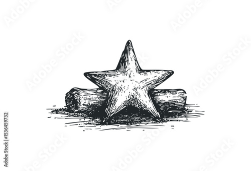 Hand-drawn starfish and logs: detailed vintage style sketch. Vector retro hand drawn illustration