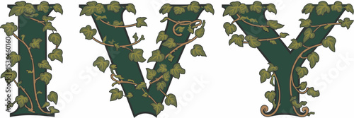 Elegant ivy text wrapped in lush vines and trailing stems