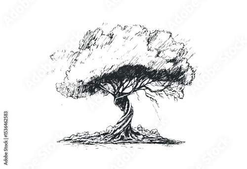 Ancient twisted tree sketch with detailed foliage and groundwork. Vector retro hand drawn illustration