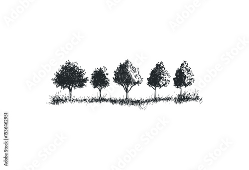 Black and white sketch of trees and grass in minimalist style. Vector retro hand drawn illustration