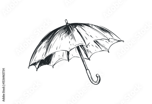 Sketch of open umbrella: hand-drawn detailed illustration on white. Vector retro hand drawn illustration