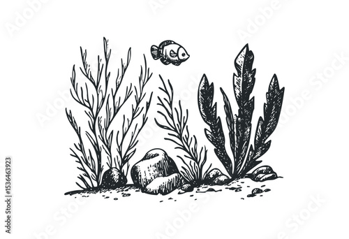 Vintage aquarium illustration with fish, rocks, and plant life. Vector retro hand drawn illustration