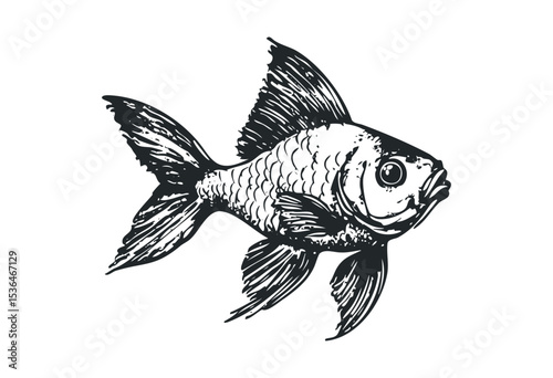 Intricate sketch of goldfish with detailed scales and fins. Vector retro hand drawn illustration
