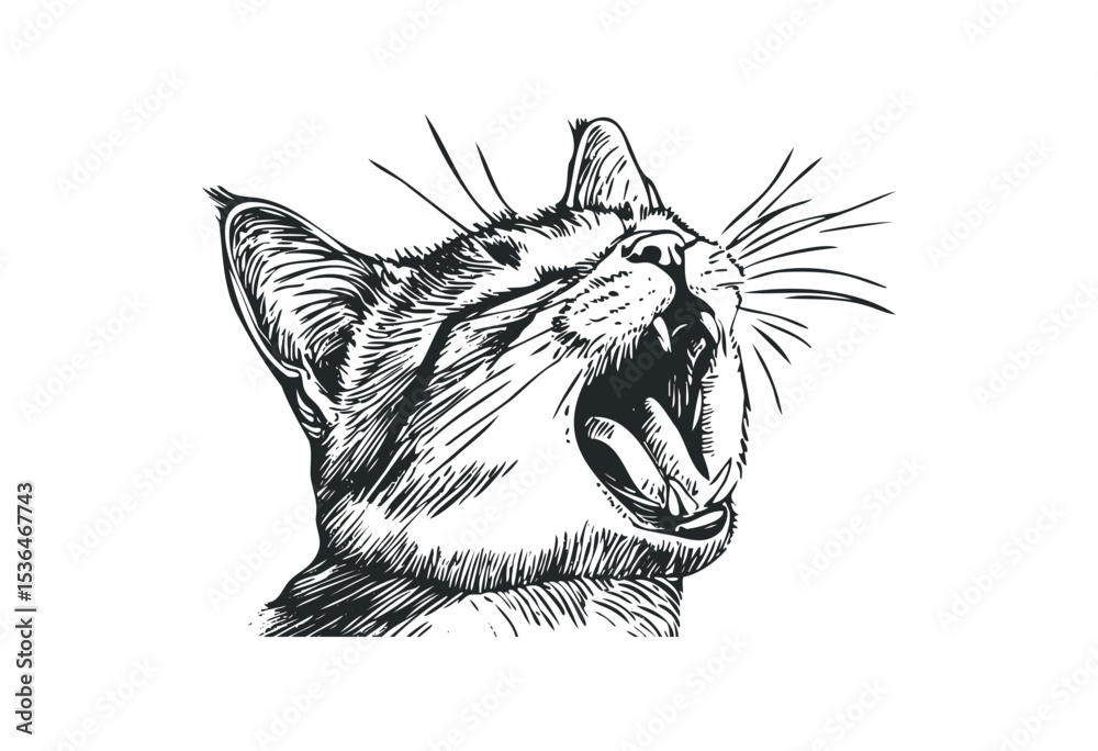 Obraz premium Yawning cat sketch in detailed black and white illustration. Vector retro hand drawn illustration