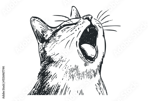 Hand-drawn sketch of a yawning cat in black and white. Vector retro hand drawn illustration