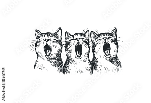 Three yawning cats illustration: expressive feline trio in mid-yawn. Vector retro hand drawn illustration