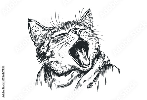 Detailed sketch of a yawning cat illustration in monochrome. Vector retro hand drawn illustration