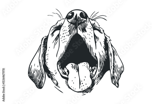 Detailed sketch of yawning dog with tongue out in black and white. Vector retro hand drawn illustration