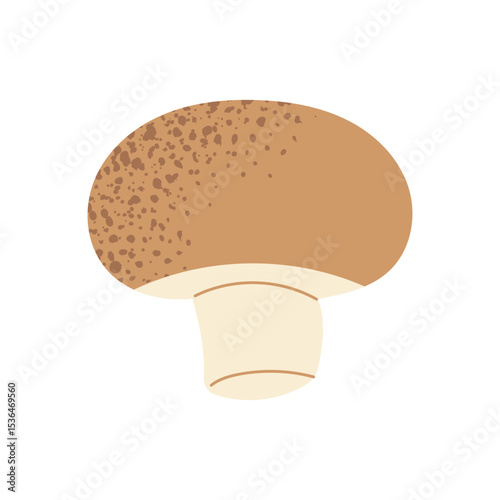 Whole brown champignon mushroom. Hand drawn edible vegetable in flat style. Organic vegan food. Vector illustration isolated on white background.