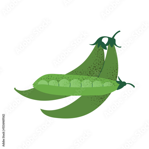 Green peas in pod. Flat hand drawn vegetable illustration. Organic vegan food for salad and cooking. Vector image isolated on white background.