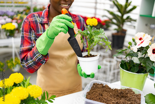 A florist in a shop replants a flower into a new pot with gardening tools.